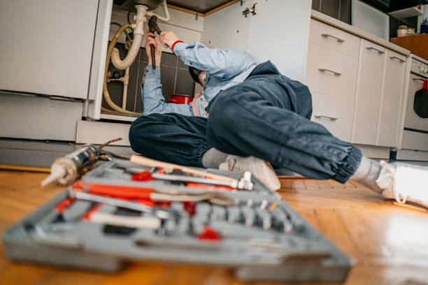Best Same-Day Plumbing Service  in Ashton, ID